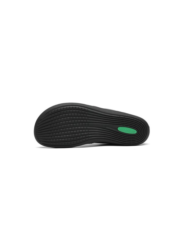 Saguaro Noble I – XZH0213