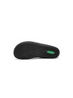 Saguaro Noble I – XZH0213