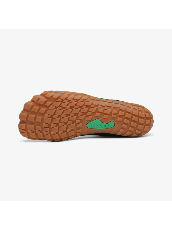 Saguaro Vitality III - XZA054