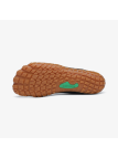 Saguaro Vitality III - XZA054