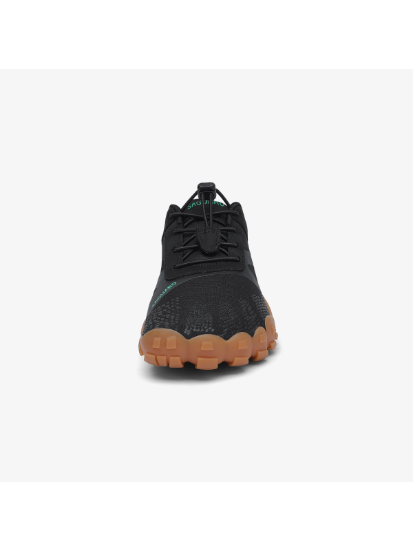 Saguaro Vitality III - XZA054
