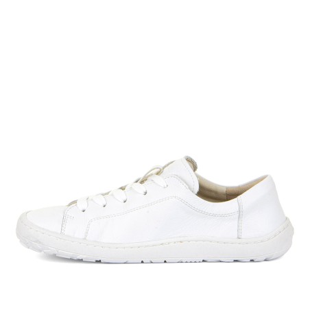 Laces G3130242