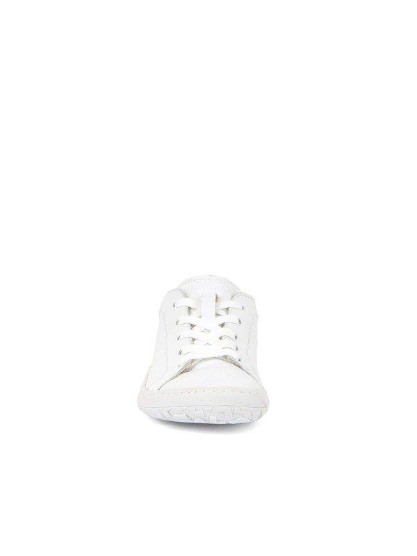 Laces G3130242