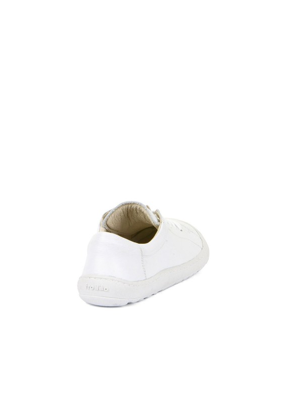 Laces G3130242