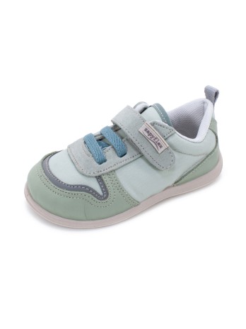 Mimosa AJ200381 Savia